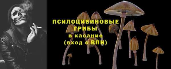 стафф Алексин