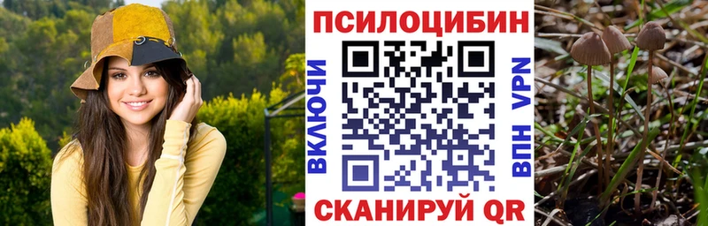 наркотики  Аркадак  Псилоцибиновые грибы Cubensis 