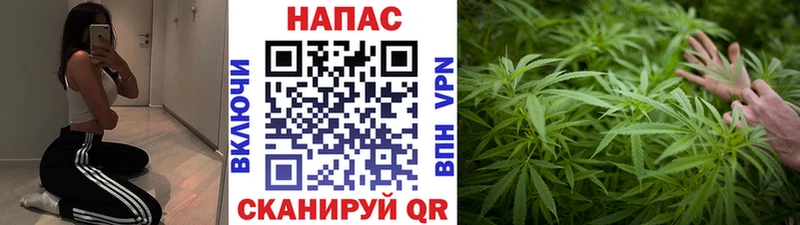 Конопля марихуана  хочу   Аркадак 